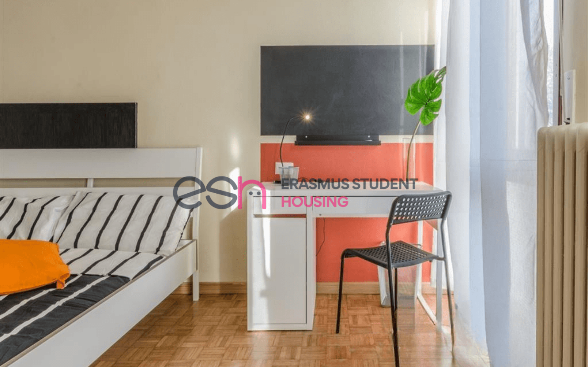 Room in Pisa